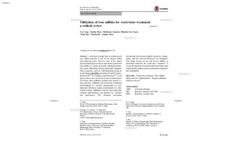 Utilization of iron sulfides for wastewater treatment: a critical review